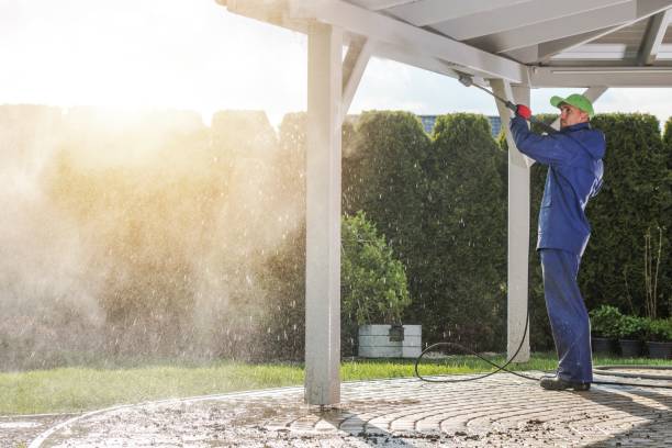 Best Solar Panel Cleaning  in Tarkio, MO